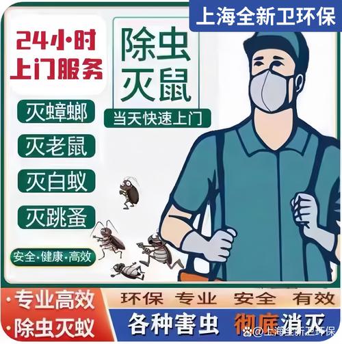 专业除四害，守护健康家——全新卫环保为您提供一站式消杀消毒服务